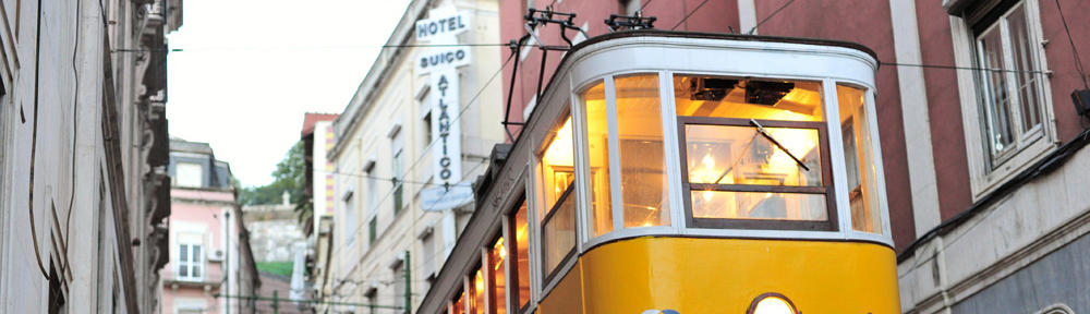 The Waldorf Homeschool U